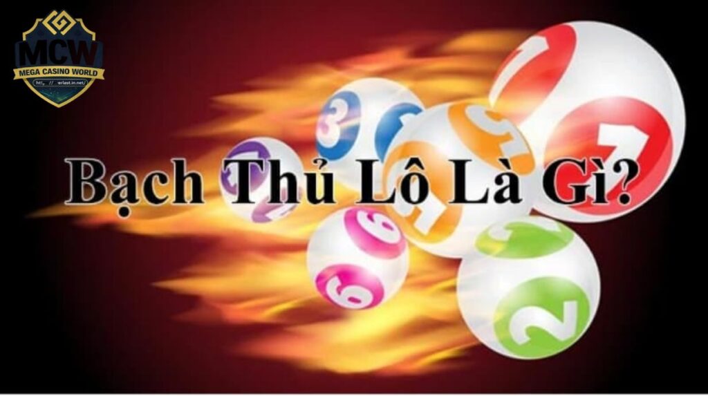 Bạch thủ lô là gì?