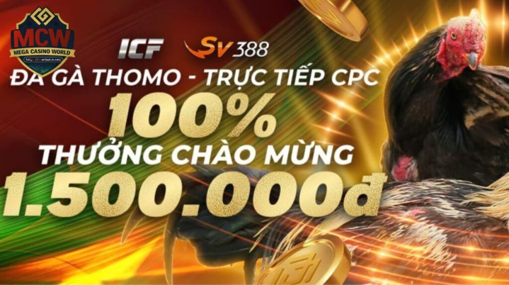 Đăng Nhập MCW đúng chuẩn: Hướng dẫn từng bước