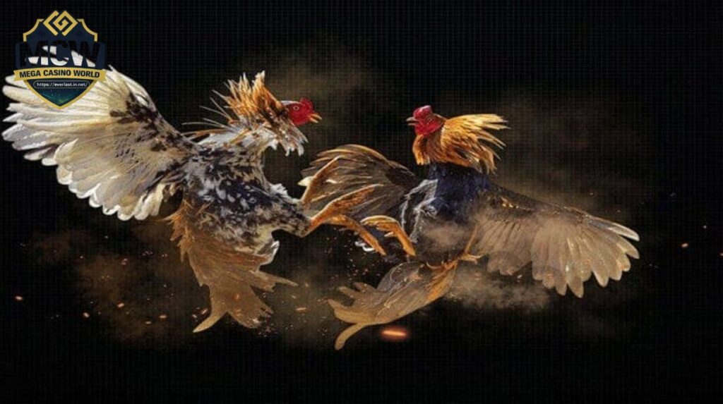 Mẹo và chiến lược chơi đá gà SV388