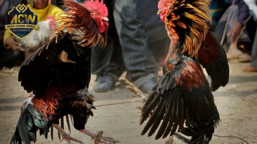 Nguồn gốc và sự phát triển