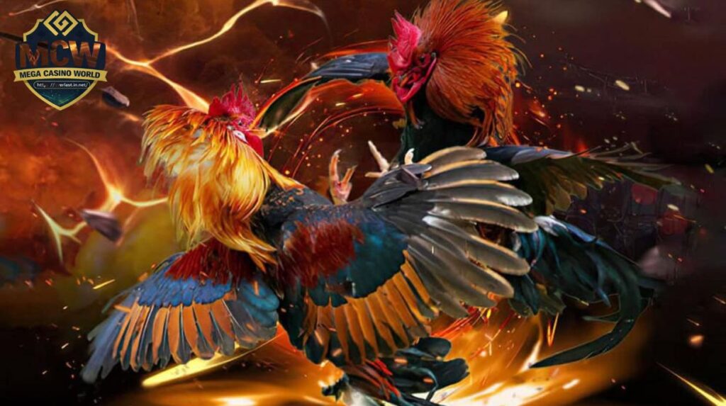 Vì sao đá gà SV388 được yêu thích hiện nay?