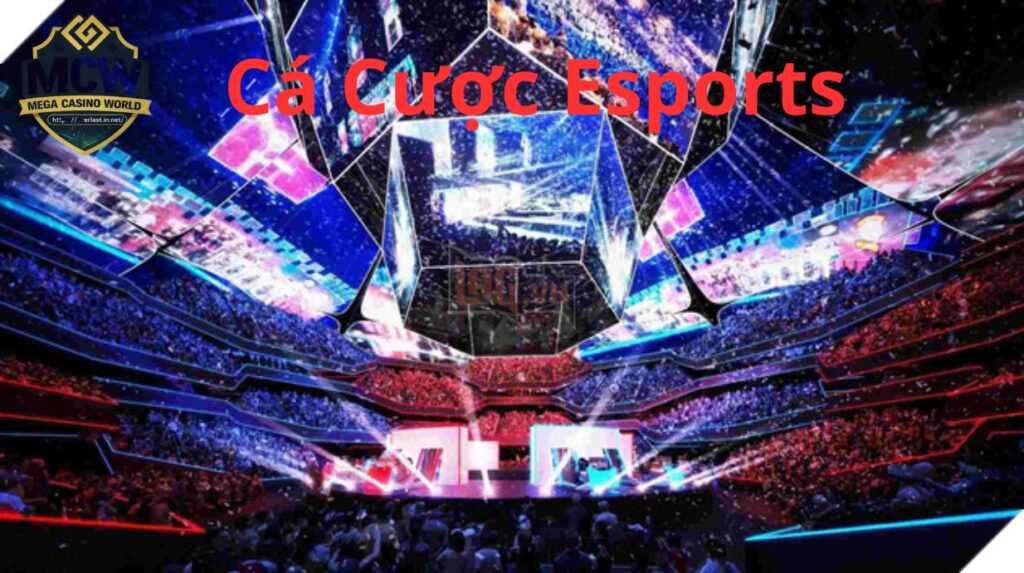 Cá Cược Esports - Bí quyết soi kèo luôn thắng cho người mới